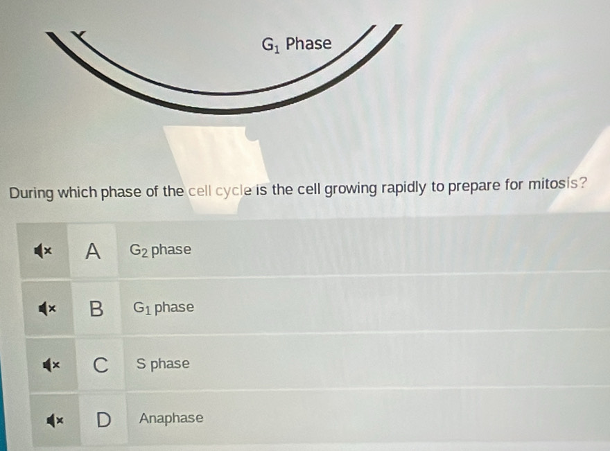 During which phase of the cell cycle is the cell growing rapidly to prepare for mitosis?
x A G_2 phase
B G_1 phase
C S phase
Anaphase