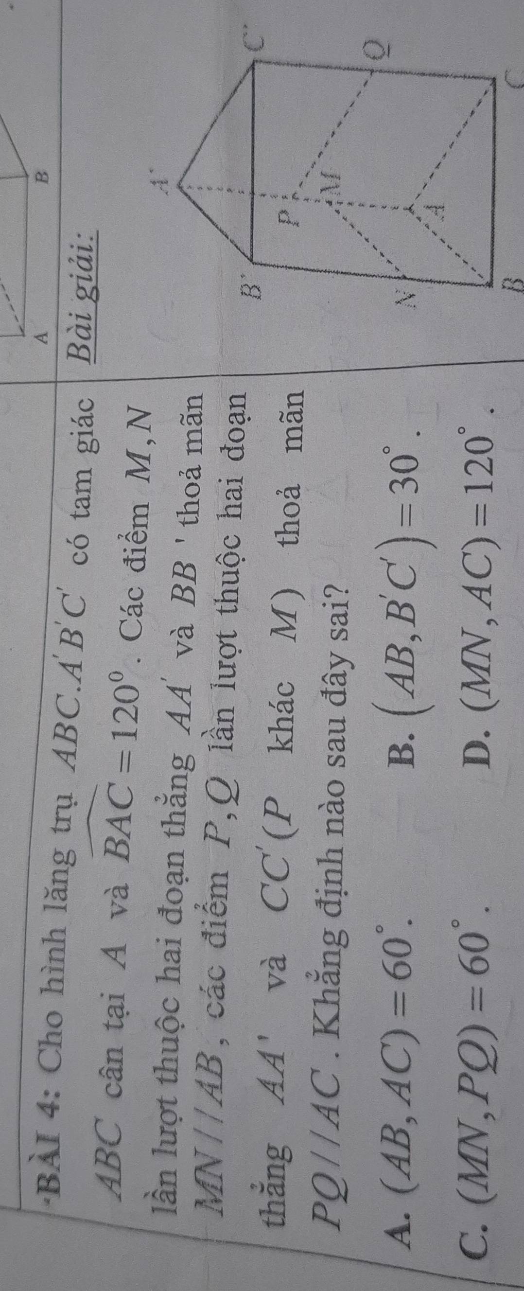 BI 4: Cho hình lăng trụ ABC. A'B'C' có tam giác Bài giải:
ABC cân tại A và widehat BAC=120°. Các điểm M,N
lần lượt thuộc hai đoạn thẳng AA' và BB ' thoả mãn
MN //A a , các điểm P,Q lần lượt thuộc hai đoạn
thẳng AA' và CC'(P khác M) thoả mãn
PQ//AC. Khẳng định nào sau đây sai?
A. (AB,AC)=60°. B. (AB,B'C')=30°.
C. (MN,PQ)=60°. D. (MN,AC)=120°.
B
C