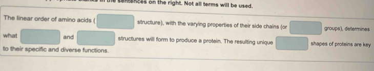 he sentances on the right. Not all terms will be used. 
The linear order of amino acids ( structure), with the varying properties of their side chains (or groups), determines 
what and structures will form to produce a protein. The resulting unique shapes of proteins are key 
to their specific and diverse functions.