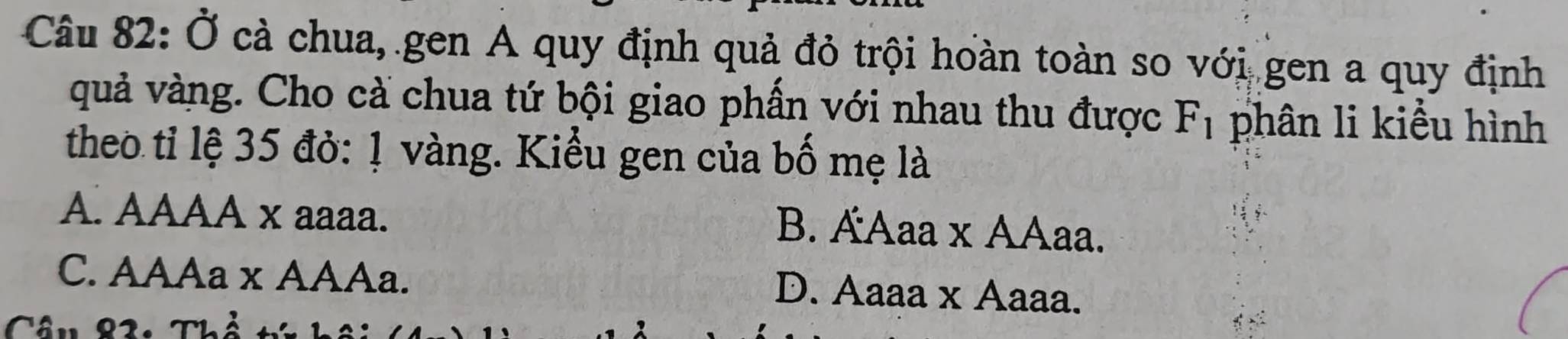 Ở cà chua, gen A quy định quả đỏ trội hoàn toàn so với gen a quy định
quả vàng. Cho cà chua tứ bội giao phần với nhau thu được F_1 phân li kiểu hình
theo tỉ lệ 35 đỏ: ! vàng. Kiểu gen của bố mẹ là
A. AAAA x aaaa.
B. AAaa x AAaa.
C. AAAa x AAAa.
D. Aaaa x Aaaa.
Câu 83: Thổ t hồ