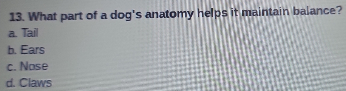 What part of a dog's anatomy helps it maintain balance?
a. Tail
b. Ears
c. Nose
d. Claws
