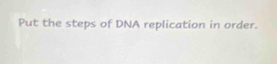 Put the steps of DNA replication in order.