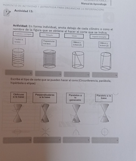 Manual de Aprendizaje 
Momento de actividad 1 (estrategia para organizar la información) 
Actividad 13: 
Actividad: En forma individual, anota debajo de cada cilindro o cono el 
nombre de la figura que se obtiene al hacer el corte que se indica. 
Cradrsio o rectíngelo Triậngulle Cínnulo Trapeie rocangulie 
Paralelo à la bass 
a la hase Perpendicular 
la base (1) Oblicua a la base [2] Oblicue a 
Escribe el tipo de corte que se pueden hacer al cono (Circunferencia, parábola, 
hipérbola o elipse) 
a la base Oblicuos Perpendiculares à la base Paralelos a Paralelo a la base 
la 
generatriz