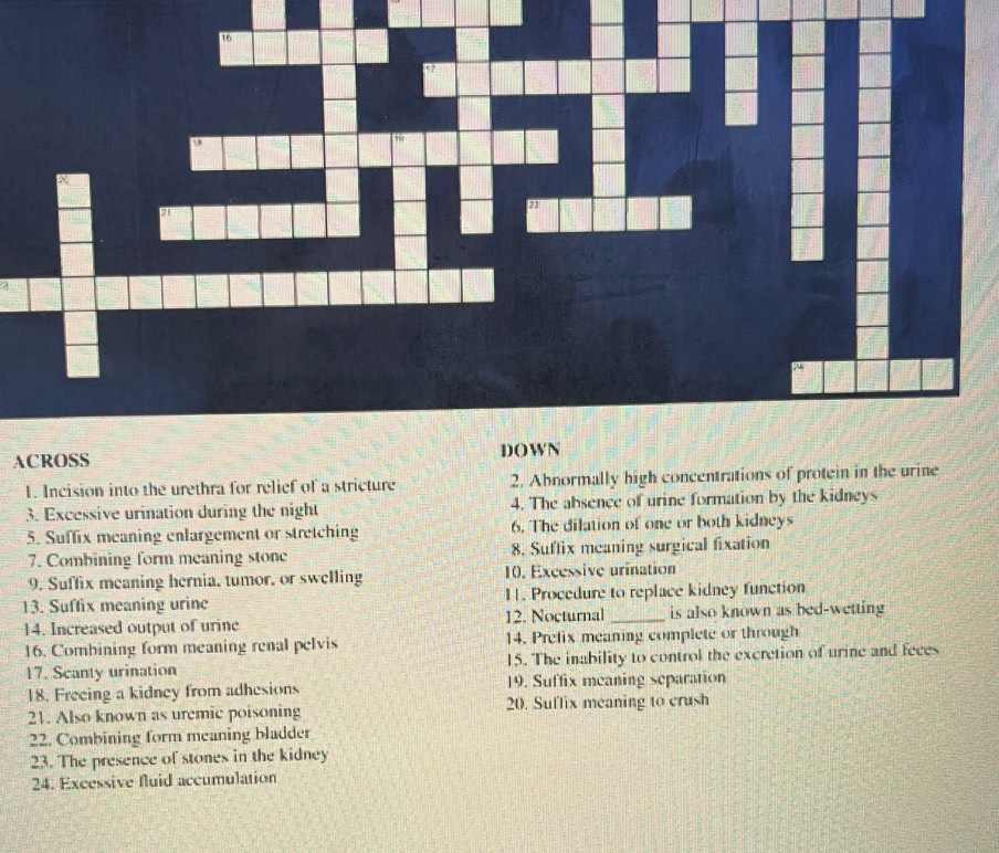 ACROSS DOWN 
1. Incision into the urethra for relief of a stricture 2. Ahnormally high concentrations of protein in the urine 
3. Excessive urination during the night 4. The absence of urine formation by the kidneys 
5. Suffix meaning enlargement or stretching 6. The dilation of one or both kidneys 
7. Combining form meaning stone 8. Suffix meaning surgical fixation 
9. Suffix meaning hernia, tumor, or swelling 10. Excessive urination 
13. Suftix meaning urine 11. Procedure to replace kidney function 
14. Increased output of urine 12. Nocturnal_ is also known as bed-wetting 
16. Combining form meaning renal pelvis 14. Prefix meaning complete or through 
17. Scanty urination 15. The inability to control the excretion of urine and feces 
18. Freeing a kidney from adhesions 19. Suffix meaning separation 
21. Also known as uremic poisoning 20. Suffix meaning to crush 
22. Combining form meaning bladder 
23. The presence of stones in the kidney 
24. Excessive fluid accumulation