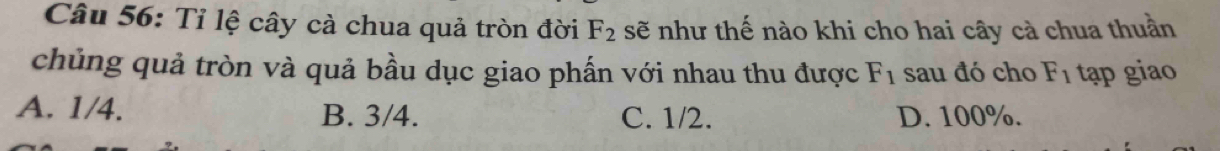 Tỉ lệ cây cả chua quả tròn đời F_2 sẽ như thế nào khi cho hai cây cà chua thuần
chủng quả tròn và quả bầu dục giao phấn với nhau thu được F_1 sau đó cho F_1 tạp giao
A. 1/4. B. 3/4. C. 1/2. D. 100%.