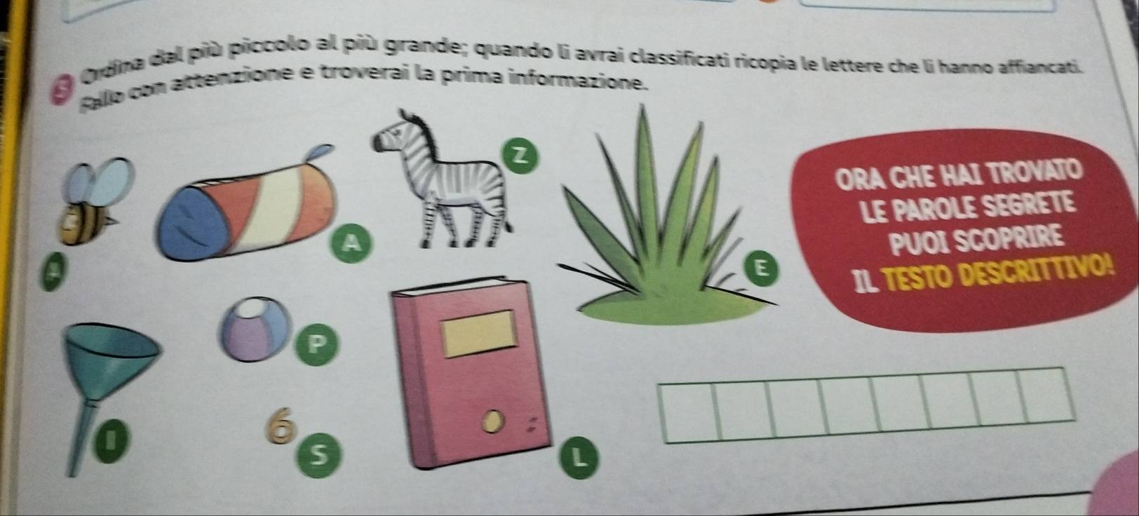 Ordina dal più piccolo al più grande; quando li avrai classificati ricopia le lettere che li hanno affiancati. 
Rallo con attenzione e troverai la prima informazione.