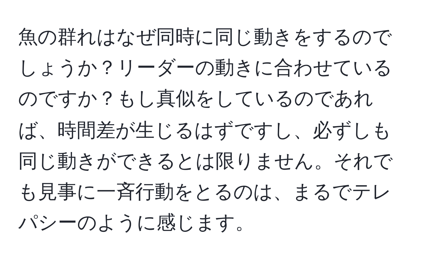 魚の群れはなぜ同時に同じ動きをするのでしょうか？リーダーの動きに合わせているのですか？もし真似をしているのであれば、時間差が生じるはずですし、必ずしも同じ動きができるとは限りません。それでも見事に一斉行動をとるのは、まるでテレパシーのように感じます。