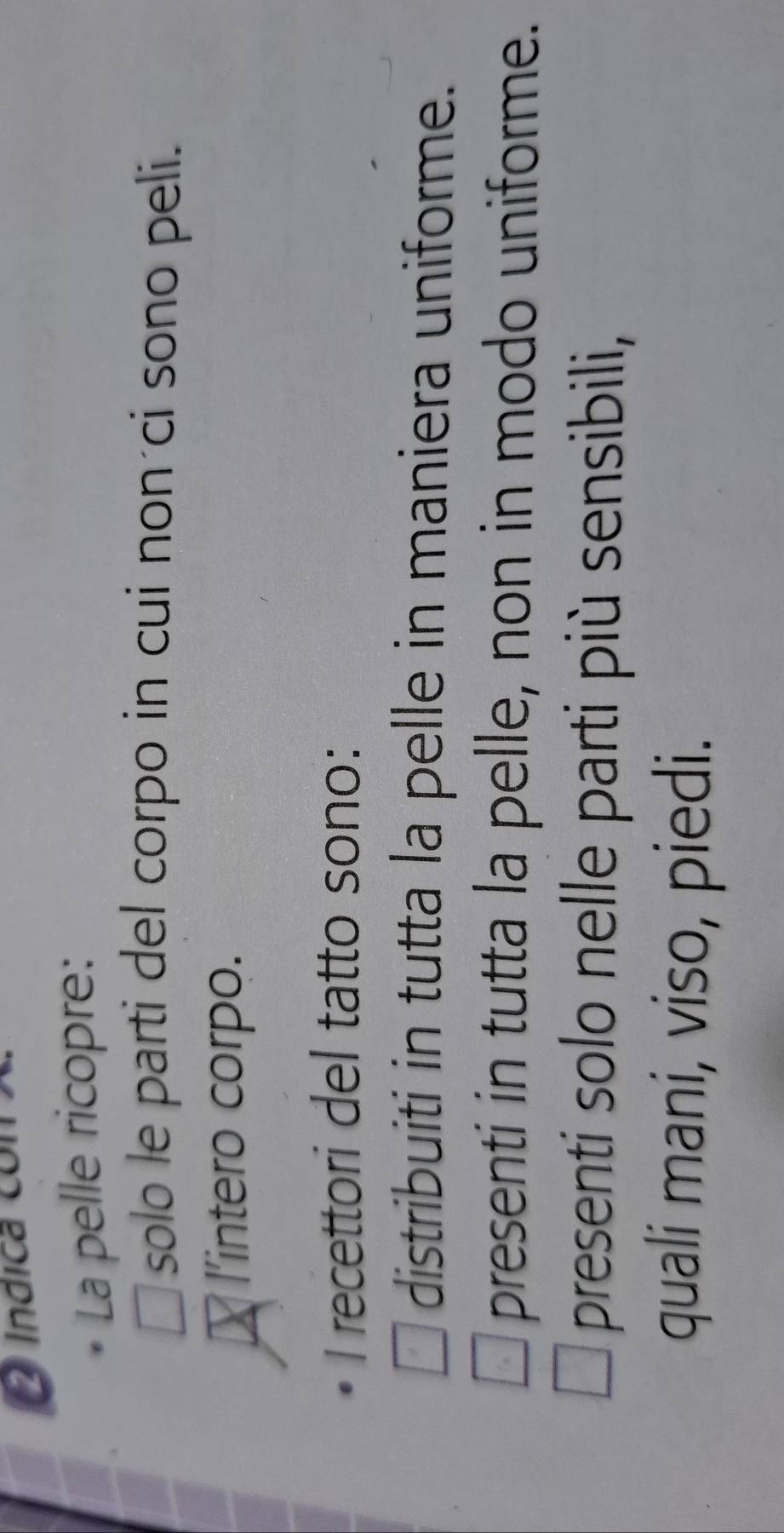 Indica con 
La pelle ricopre:
solo le parti del corpo in cui non ci sono peli.
L l'intero corpo.
I recettori del tatto sono:
 distribuiti in tutta la pelle in maniera uniforme.
presenti in tutta la pelle, non in modo uniforme.
presenti solo nelle parti più sensibili,
quali mani, viso, piedi.
