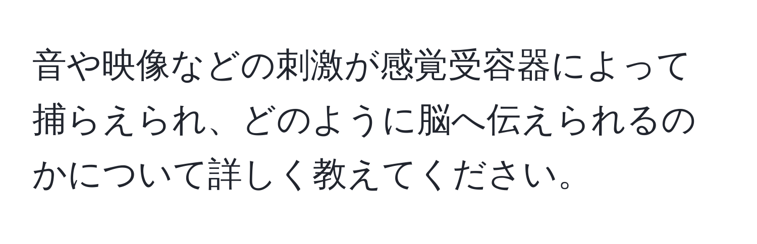 音や映像などの刺激が感覚受容器によって捕らえられ、どのように脳へ伝えられるのかについて詳しく教えてください。