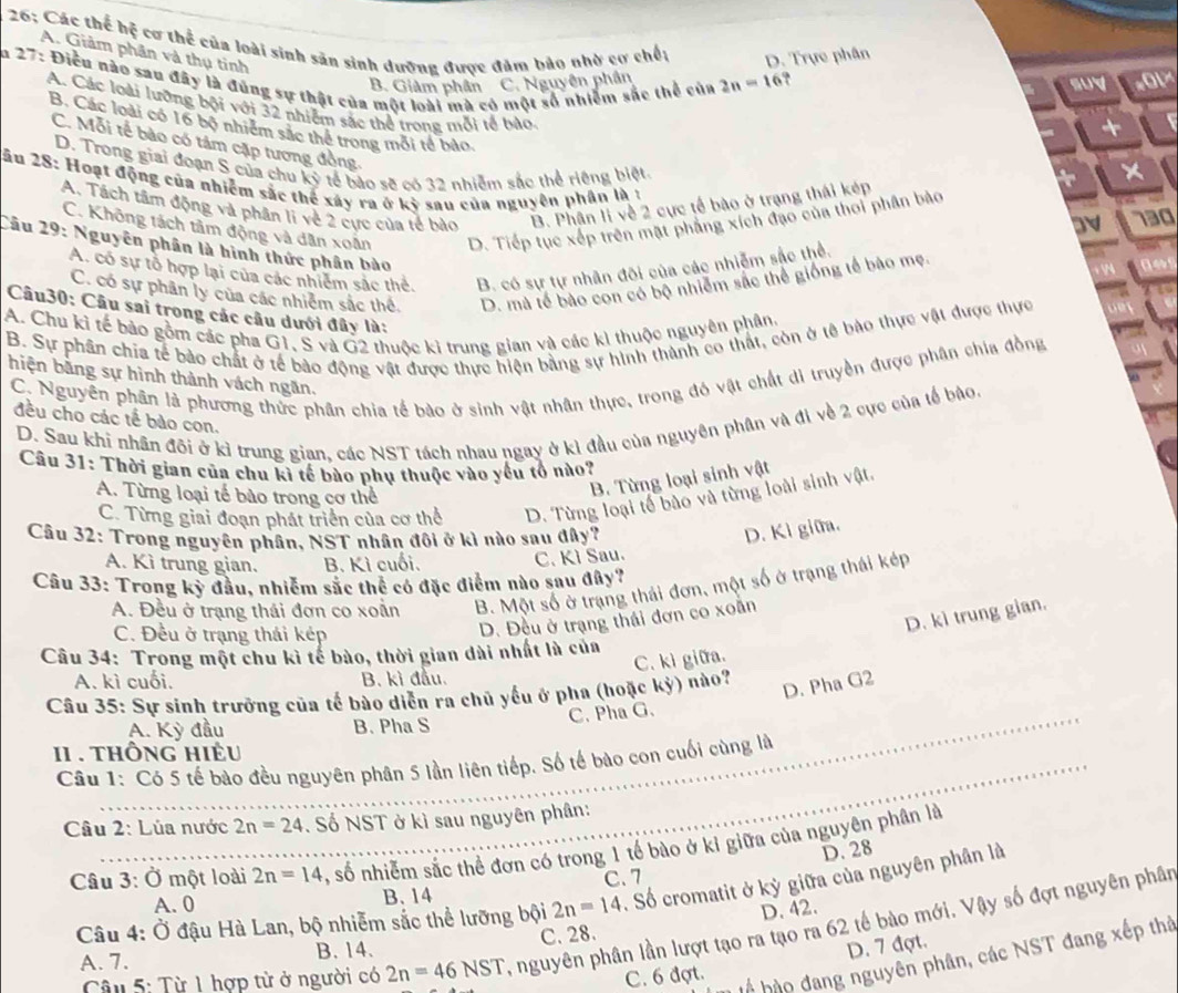 26: Các thể hệ cơ thể của loài sinh sản sinh dường được đảm bảo nhờ cơ chếu D. Trực phân
A. Giảm phân và thụ tinh
ăn 27: Điều nào sau đây là đủng sự thật của một loài mà có một số nhiễm sắc thể của B. Giảm phân C. Nguyên phân 2n=16 suy *Ol×
A. Các loài lưỡng bội với 32 nhiễm sắc thể trong mỗi tế bào
+
B. Các loài có 16 bộ nhiêm sắc thể trong môi tế bào.
C. Mỗi tế bảo có tảm cặp tương đồng.
D. Trong giải đoạn S của chu kỷ tế bảo sẽ có 32 nhiễm sắc thể riêng biệt
2ầu 28: Hoạt động của nhiễm sắc thể xây ra ở kỳ sau của nguyên phân là 1
A. Tách tâm động và phần li về 2 cực của tế bào B. Phân li về 2 cực tế bào ở trạng thái kép
C. Không tách tâm động và dân xoân D. Tiếp tục xếp trên mặt phẳng xích đạo của thời phân bảo
DV 130
Câu 29: Nguyên phân là hình thức phân bào
A. có sự tổ hợp lại của các nhiêm sắc thẻ. B. có sự tự nhân đôi của các nhiễm sắc thể.
C. có sự phân ly của các nhiêm sắc thể D. mà tế bảo con có bộ nhiêm sắc thể giống tế bảo mẹ. 19 9
Câu30: Câu sai trong các câu dưới đây là:
A. Chu kì tế bảo gồm các pha G1, S và G2 thuộc kì trung gian và các kì thuộc nguyên phân.
B. Sự phân chia tế bảo chất ở tế bào động vật được thực hiện bằng sự hình thành co thất, còn ở tế bào thực vật được thực
C. Nguyên phân là phương thức phân chia tế bào ở sinh vật nhân thực, trong đó vật chất di truyền được phân chia đồng
hiện bằng sự hình thành vách ngãn.
đều cho các tế bảo con.
D. Sau khi nhân đôi ở kì trung gian, các NST tách nhau ngay ở kì đầu của nguyên phân và đi về 2 cực của tế bào.
Câu 31: Thời gian của chu kì tế bào phụ thuộc vào yếu tổ nào?
A. Từng loại tế bào trong cơ thể
B. Từng loại sinh vật
C. Từng giai đoạn phát triển của cơ thể D. Từng loại tế bào và từng loài sinh vật.
Câu 32: Trong nguyên phân, NST nhân đôi ở kì nào sau đây?
D. Ki giữa.
A. Kì trung gian.  B. Kì cuối.
C. Kì Sau.
Câu 33: Trong kỳ đầu, nhiễm sắc thể có đặc điểm nào sau đây?
A. Đều ở trạng thái đơn co xoắn B. Một số ở trạng thái đơn, một số ở trạng thái kép
C. Đều ở trạng thái kép
D. kì trung gian.
D. Đều ở trạng thái đơn co xoẵn
Câu 34: Trong một chu kì tế bào, thời gian dài nhất là của
C. kì giữa.
A. kì cuối. B. kì đầu.
Câu 35: Sự sinh trưởng của tế bào diễn ra chủ yếu ở pha (hoặc kỳ) nào?
D. Pha G2
C. Pha G.
A. Kỳ đầu B. Pha S
_
_
II . thông hiểu
Câu 1: Có 5 tế bào đều nguyên phân 5 lần liên tiếp. Số tế bào con cuối cùng là
Câu 2: Lúa nước 2n=24. Số NST ở kì sau nguyên phân:
Câu 3: Ở một loài 2n=14 , số nhiễm sắc thể đơn có trong 1 tế bào ở kỉ giữa của nguyên phân là
D. 28
A. 0 B. 14 C. 7
Câu 4: Ở đậu Hà Lan, bộ nhiễm sắc thể lưỡng bội 2n=14 Số cromatit ở kỳ giữa của nguyên phân là
C. 28. D. 42.
Câu 5: Từ 1 hợp từ ở người có 2n=46NST A nguyên phân lần lượt tạo ra tạo ra 62 tế bào mới. Vậy số đợt nguyên phân
h  ho đang nguyên phân, các NST đang xếp thờ
A. 7.
B. 14. D. 7 đợt.
C. 6 đợt.