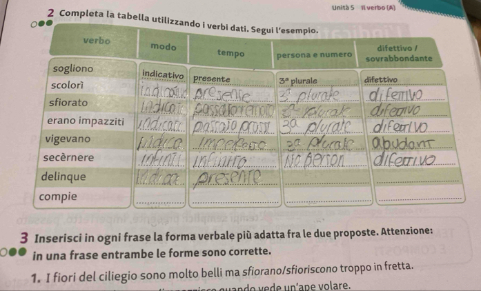 Unità 5 Il verbo (A)
2 Completa la
3 Inserisci in ogni frase la forma verbale più adatta fra le due proposte. Attenzione:
in una frase entrambe le forme sono corrette.
1. I fiori del ciliegio sono molto belli ma sfiorano/sfioriscono troppo in fretta.
n do  ede uníape volare.