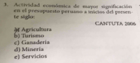 Actividad económica de mayor significación
en el presupuesto peruano a inicios del presen
te siglo:
CANTUTA 2006
Agricultura
b) Turismo
c) Ganaderia
d) Minería
e) Servicios