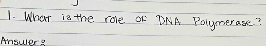 What is the role oF DNA Polymerase? 
Answere