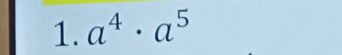 a^4· a^5