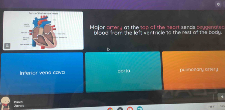 Major artery at the top of the heart sends oxygenated
blood from the left ventricle to the rest of the body.
inferior vena cava aorta pulmonary artery
Paola
Zavala Feb 11 10:5