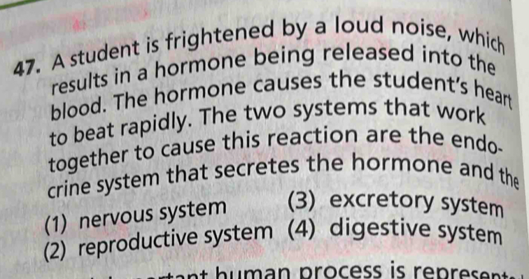 A student is frightened by a loud noise, which
results in a hormone being released into the
blood. The hormone causes the student’s heart
to beat rapidly. The two systems that work
together to cause this reaction are the endo-
crine system that secretes the hormone and the
(1) nervous system (3) excretory system
(2) reproductive system (4) digestive system
a h u m an process is represe .