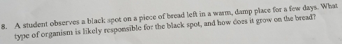 A student observes a black spot on a piece of bread left in a warm, damp place for a few days. What 
type of organism is likely responsible for the black spot, and how does it grow on the bread?