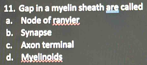 Gap in a myelin sheath are called
a. Node of ranvier
b. Synapse
c. Axon terminal
d. Myelinoids