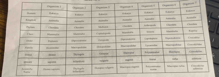 Organism 7