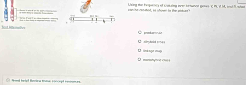 Using the frequency of crossing over between genes Y, W, V, M, and R, what
can be created, as shown in the picture?
a    d l    
Aer à fos forly in aurto te clno 
Text Alternative
product rule
dihybrid cross
linkage map
monohybrid cross
② Need help? Review these concept resources.