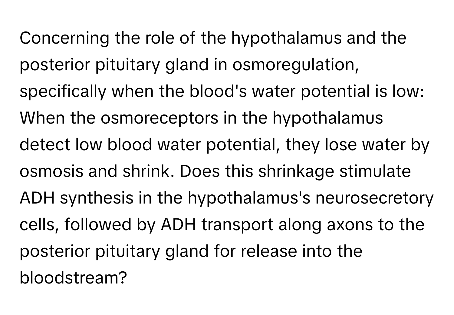 Concerning the role of the hypothalamus and the posterior pituitary gland in osmoregulation, specifically when the blood's water potential is low: When the osmoreceptors in the hypothalamus detect low blood water potential, they lose water by osmosis and shrink. Does this shrinkage stimulate ADH synthesis in the hypothalamus's neurosecretory cells, followed by ADH transport along axons to the posterior pituitary gland for release into the bloodstream?