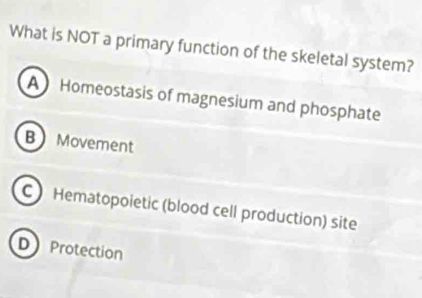 What is NOT a primary function of the skeletal system?
A Homeostasis of magnesium and phosphate
BMovement
C Hematopoietic (blood cell production) site
D Protection