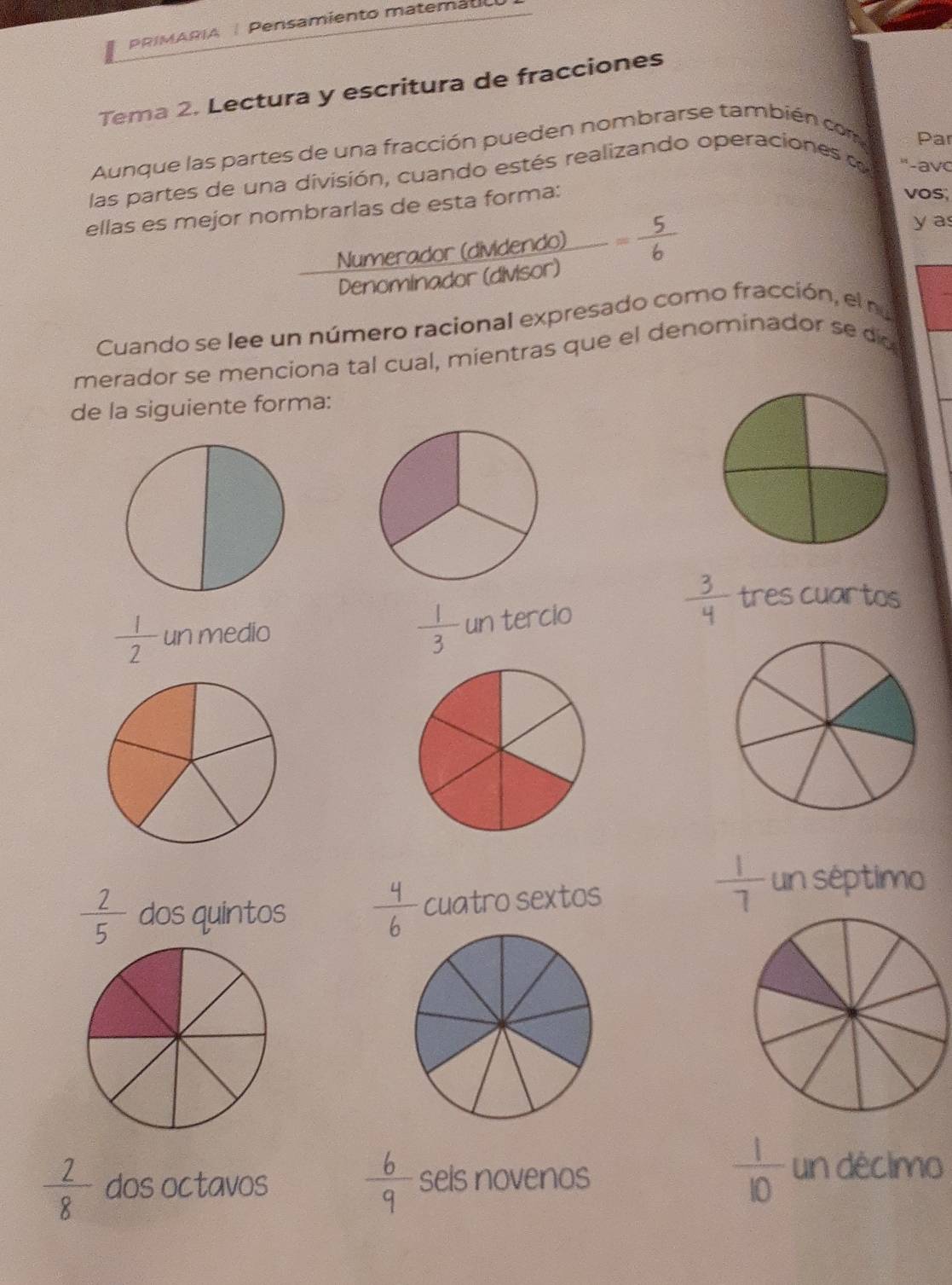 PRIMARIA Pensamiento matemato
Tema 2. Lectura y escritura de fracciones
Aunque las partes de una fracción pueden nombrarse también com Par
las partes de una división, cuando estés realizando operaciones d ''-av
ellas es mejor nombrarlas de esta forma:
vos;
Numerador (dividendo) = 5/6 
y a
Denominador (divisor)
Cuando se lee un número racional expresado como fracción, el no
merador se menciona tal cual, mientras que el denominador se dío
de la siguiente forma:
 1/3 
 3/4  tres cuartos
 1/2  un medio un tercio
 2/5  dos quintos  4/6  cuatro sextos
 1/7  un séptimo
 2/8  dos octavos  6/9  sels novenos
 1/10  un déclmo