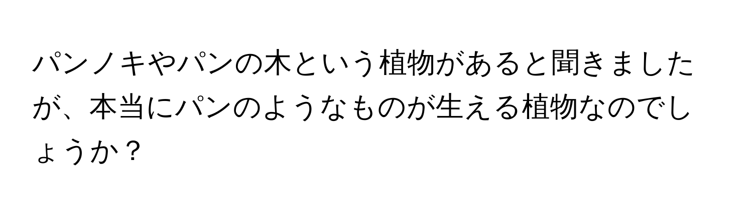 パンノキやパンの木という植物があると聞きましたが、本当にパンのようなものが生える植物なのでしょうか？