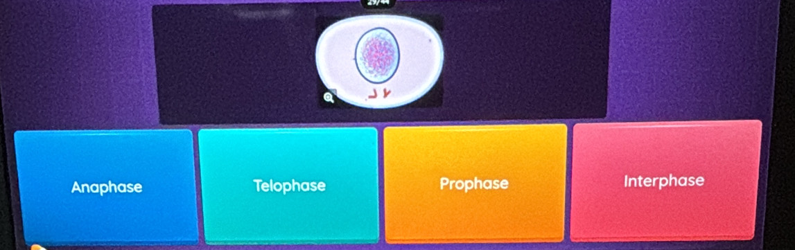 jv
Anaphase Telophase Prophase Interphase