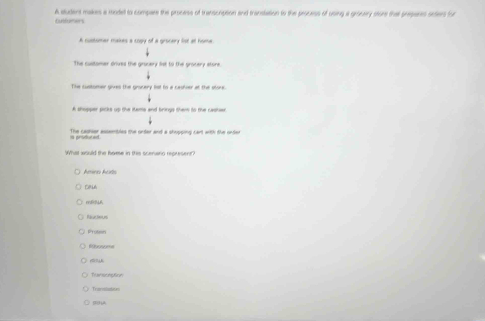 A student makes a moded to compare the process of transcription and transtation to the process of using a grosery store that preperes oeders for
Cunturers
A customer makes a copy of a grocery list at home.
The customer drives the gracery fist to the gracery store.
The customer gives the grocery list to a casher at the store.
A shopper picks up the itama and brings them to the cashe,
The cashier essembles the order and a shrpping cart with the urder 
in proidured.
What would the home in this scenano represent?
Amino Acids
DNA
MRNA
Nucieus
Proten
(
Tunsception
Translatios