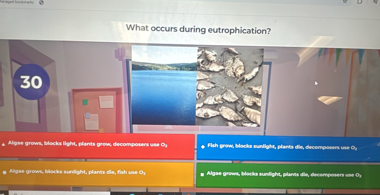 tenaged bookmarks
What occurs during eutrophication?
Algae grows, blocks light, plants grow, decomposers use O₂ Fish grow, blocks sunlight, plants die, decomposers use O_2
Algae grows, blocks sunlight, plants die, fish use e. Algae grows, blocks sunlight, plants die, decomposers use O_2