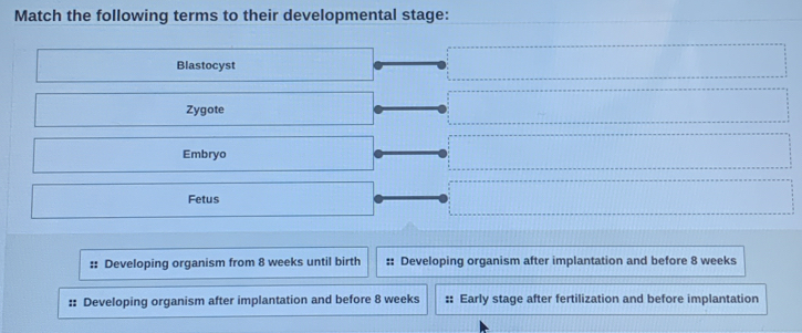 Match the following terms to their developmental stage:
Blastocyst
Zygote
Embryo
Fetus
:: Developing organism from 8 weeks until birth :: Developing organism after implantation and before 8 weeks
:: Developing organism after implantation and before 8 weeks :: Early stage after fertilization and before implantation