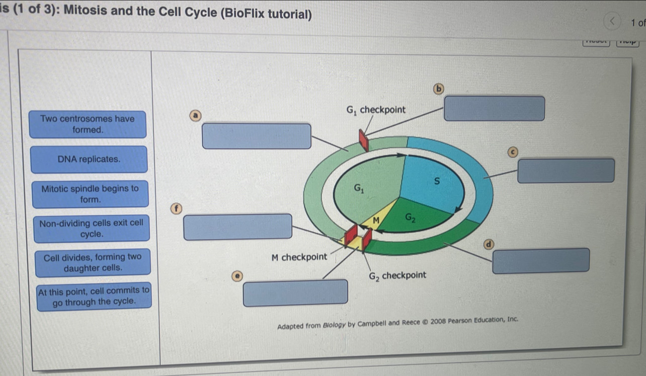 Solved: is (1 of 3): Mitosis and the Cell Cycle (BioFlix tutorial) 1 of ...