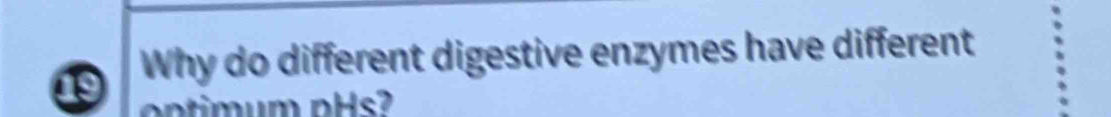 Why do different digestive enzymes have different 
n um pHs?