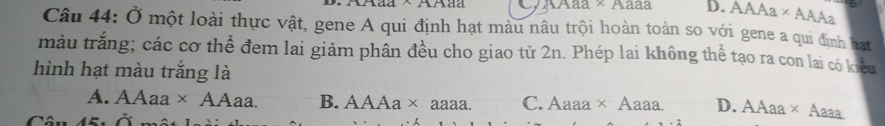 D. overline AAAa* AAAa
Câu 44: Ở một loài thực vật, gene A qui định hạt màu nâu trội hoàn toàn so với gene a qui định hạt
màu trắng; các cơ thể đem lai giảm phân đều cho giao tử 2n. Phép lai không thể tạo ra con lai có kiểu
hình hạt màu trắng là
A. AAaa* AAaa. B. AAAa* aaaa. C. Aa2 a * Aaaa. D. A aa 、 * Aaaa
5 2+1