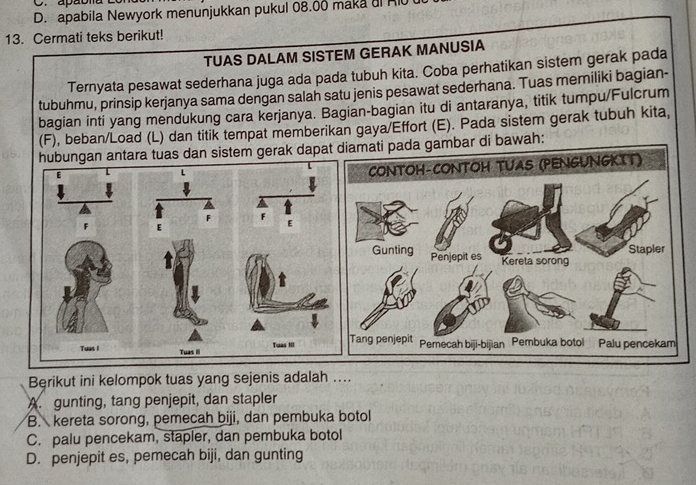 apabila Newyork menunjukkan pukul 08.00 maka ul 
13. Cermati teks berikut!
TUAS DALAM SISTEM GERAK MANUSIA
Ternyata pesawat sederhana juga ada pada tubuh kita. Coba perhatikan sistem gerak pada
tubuhmu, prinsip kerjanya sama dengan salah satu jenis pesawat sederhana. Tuas memiliki bagian-
bagian inti yang mendukung cara kerjanya. Bagian-bagian itu di antaranya, titik tumpu/Fulcrum
(F), beban/Load (L) dan titik tempat memberikan gaya/Effort (E). Pada sistem gerak tubuh kita,
hubungan antara tuas dan sistem gerak dapat diamati pada gambar di bawah:
E
Tuas I Tuas II Tuas III 
Berikut ini kelompok tuas yang sejenis adalah ....
A. gunting, tang penjepit, dan stapler
B. kereta sorong, pemecah biji, dan pembuka botol
C. palu pencekam, stapler, dan pembuka botol
D. penjepit es, pemecah biji, dan gunting