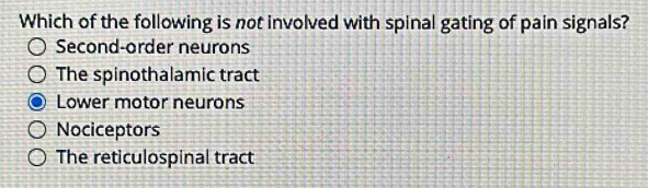 Which of the following is not involved with spinal gating of pain signals?
Second-order neurons
The spinothalamic tract
Lower motor neurons
Nociceptors
The reticulospinal tract