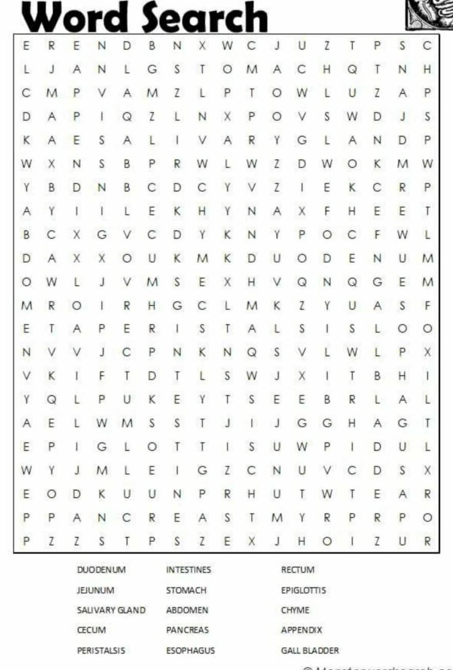 Word Search 
EC 
LH 
CP 
DS 
KP 
WW 
YP 
AT 
BL
DM
OM 
MF 
EO 
NX 
VI 
YL 
AT 
EL 
WX 
ER 
PO 
PR 
SALIVARY GLAND ABDOMEN CHYME 
CECUM PANCREAS APPENDIX 
PERISTALSIS ESOPHAGUS GALL BLADDER