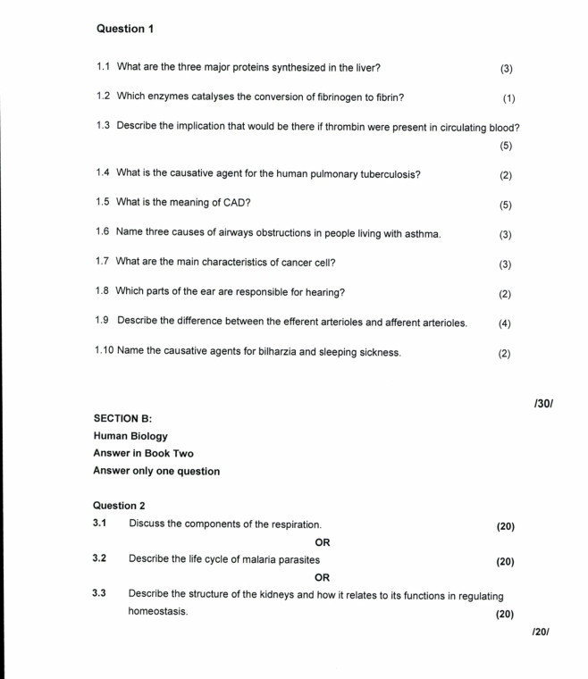 1.1 What are the three major proteins synthesized in the liver? (3) 
1.2 Which enzymes catalyses the conversion of fibrinogen to fibrin? (1) 
1.3 Describe the implication that would be there if thrombin were present in circulating blood? 
(5) 
1.4 What is the causative agent for the human pulmonary tuberculosis? (2) 
1.5 What is the meaning of CAD? (5) 
1.6 Name three causes of airways obstructions in people living with asthma. (3) 
1.7 What are the main characteristics of cancer cell? (3) 
1.8 Which parts of the ear are responsible for hearing? (2) 
1.9 Describe the difference between the efferent arterioles and afferent arterioles. (4) 
1.10 Name the causative agents for bilharzia and sleeping sickness. (2) 
/30/ 
SECTION B: 
Human Biology 
Answer in Book Two 
Answer only one question 
Question 2 
3.1 Discuss the components of the respiration. (20) 
OR 
3.2 Describe the life cycle of malaria parasites (20) 
OR 
3.3 Describe the structure of the kidneys and how it relates to its functions in regulating 
homeostasis. (20) 
/20/