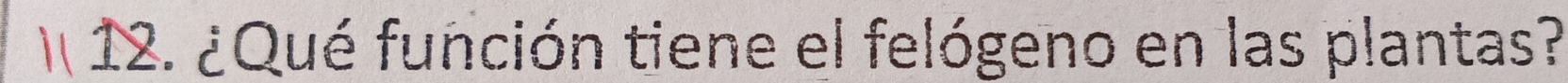 ¿Qué función tiene el felógeno en las plantas?