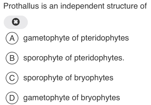 Prothallus is an independent structure of
Agametophyte of pteridophytes
Bsporophyte of pteridophytes.
Csporophyte of bryophytes
D)gametophyte of bryophytes