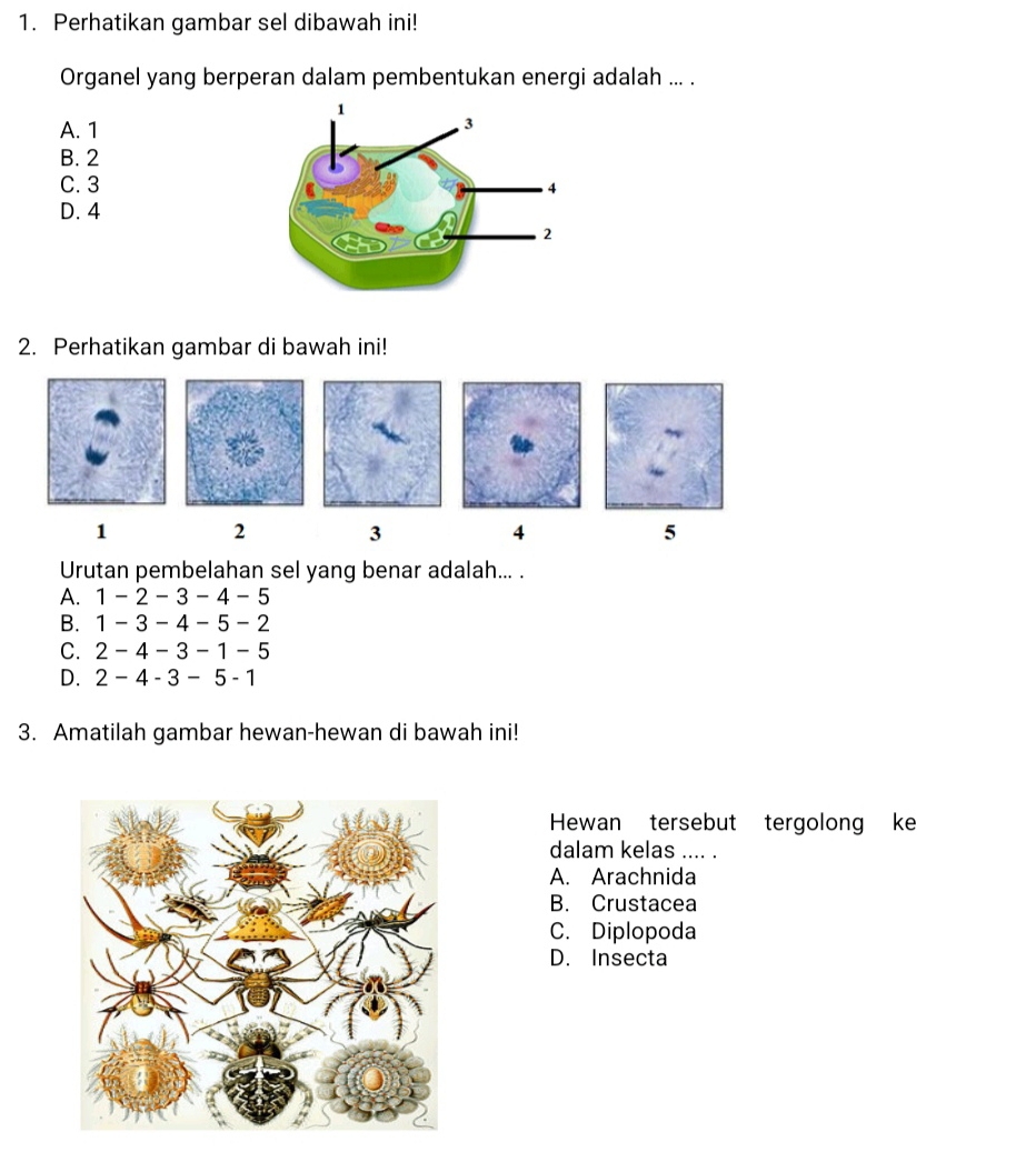 Perhatikan gambar sel dibawah ini!
Organel yang berperan dalam pembentukan energi adalah ... .
A. 1
B. 2
C. 3
D. 4
2. Perhatikan gambar di bawah ini!
1
2
3
4
5
Urutan pembelahan sel yang benar adalah... .
A. 1 -2-3 - 4 - 5
B. 1 - 3-4 − 5 − 2
C. ) - 4-3-1- - 5
D. 2-4-3-5- 1
3. Amatilah gambar hewan-hewan di bawah ini!
Hewan tersebut tergolong ke
dalam kelas .... .
A. Arachnida
B. Crustacea
C. Diplopoda
D. Insecta