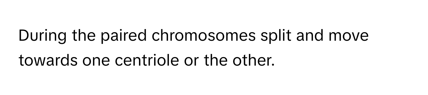 During the paired chromosomes split and move towards one centriole or the other.