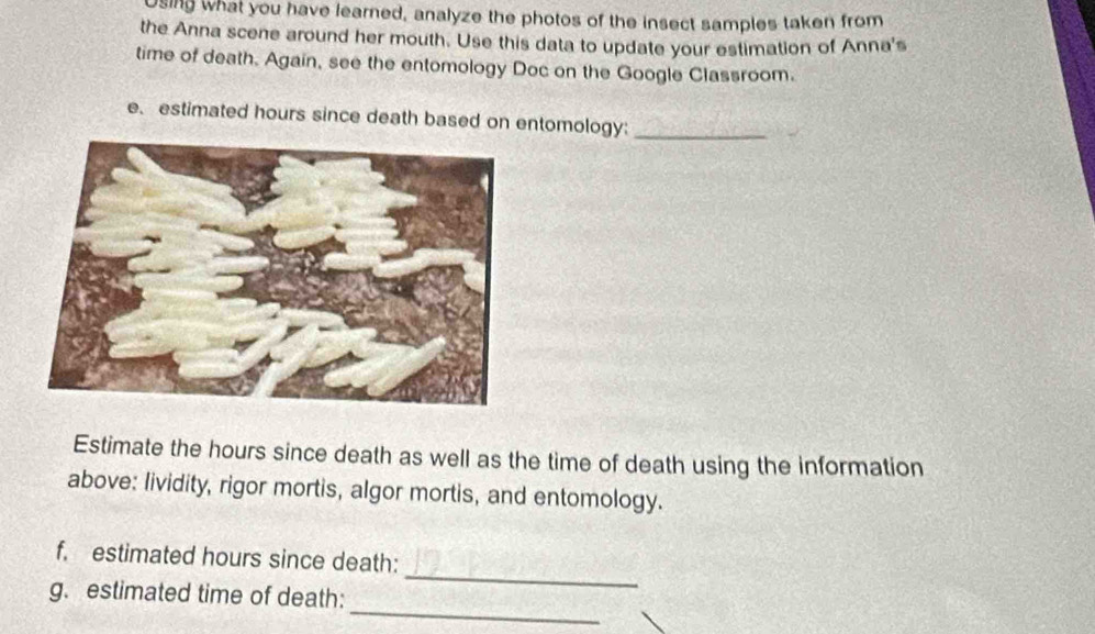 Using what you have learned, analyze the photos of the insect samples taken from 
the Anna scene around her mouth. Use this data to update your estimation of Anna's 
time of death. Again, see the entomology Doc on the Google Classroom. 
e. estimated hours since death based on entomology: 
_ 
Estimate the hours since death as well as the time of death using the information 
above: lividity, rigor mortis, algor mortis, and entomology. 
_ 
f. estimated hours since death: 
_ 
g. estimated time of death: