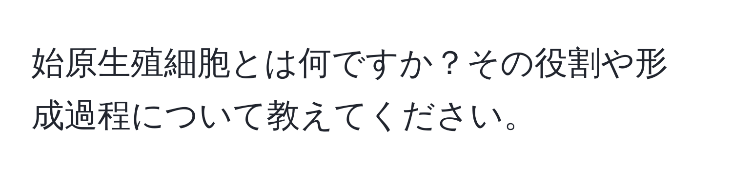 始原生殖細胞とは何ですか？その役割や形成過程について教えてください。