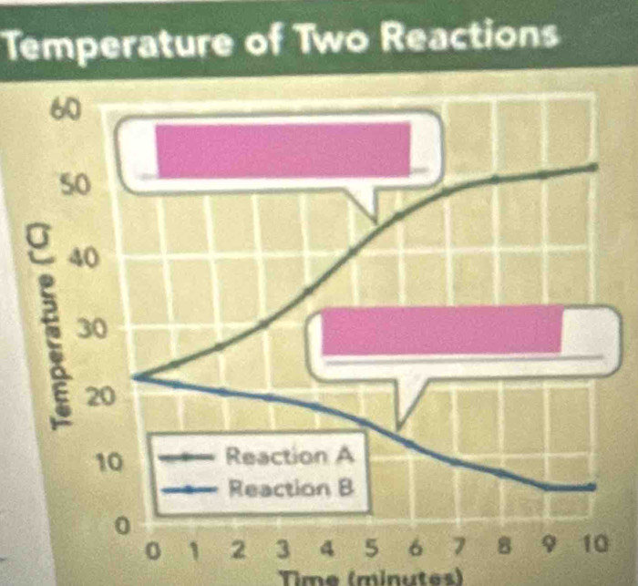 Temperature of Two Reactions 
Time (minutes)