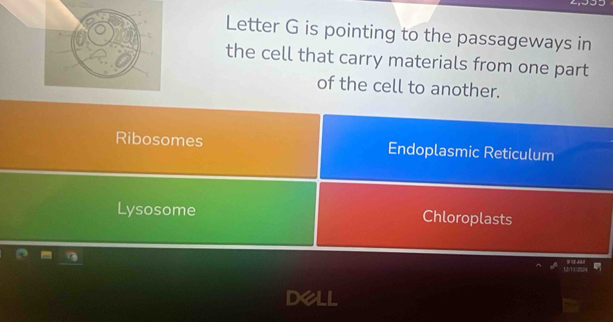 Letter G is pointing to the passageways in
the cell that carry materials from one part
of the cell to another.
Ribosomes Endoplasmic Reticulum
Lysosome
Chloroplasts