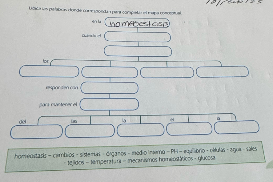 rai2s 
Ubica las palabras donde correspondan para completar el mapa conceptual 
en la nomeoestasis 
cuando el 
□ 
los 
□ □ -sqrt(3)  sqrt(2)/2  D_1
A= frac 1)(^circ , 
responden con □ 
para mantener el □ 
del las la el 
la
 5/6  □ _  C(1,0)
□ □° sin 60°
homeostasis - cambios - sistemas - órganos - medio interno - PH - equilibrio - células - agua - sales 
- tejidos - temperatura - mecanismos homeostáticos - glucosa