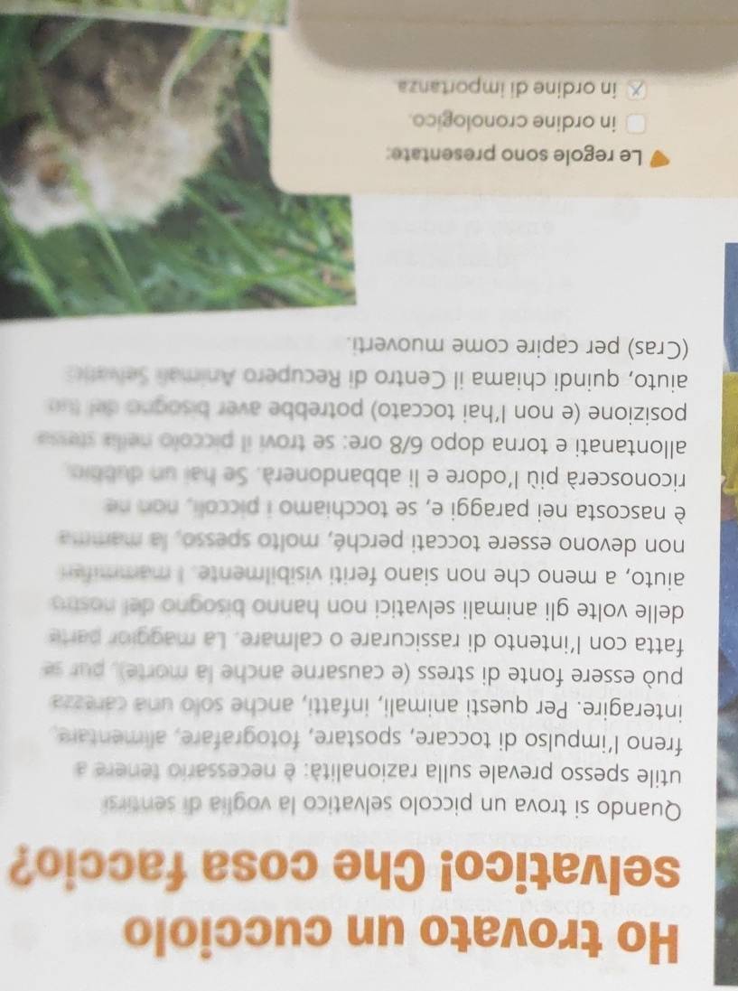 Ho trovato un cucciolo
selvatico! Che cosa faccio?
Quando si trova un piccolo selvatico la voglia di sentirsi
utile spesso prevale sulla razionalità: è necessario tenere a
freno l’impulso di toccare, spostare, fotografare, alimentare.
interagire. Per questi animali, infatti, anche solo una carezza
può essere fonte di stress (e causarne anche la morte), pur s 
fatta con l’intento di rassicurare o calmare. La maggior parte
delle volte gli animali selvatici non hanno bisogno del nostro
aiuto, a meno che non siano feriti visibilmente. I mammifen
non devono essere toccati perché, molto spesso, la mamma
è nascosta nei paraggi e, se tocchiamo i piccoli, non ne
riconoscerà più l'odore e li abbandonerà. Se hai un dubbio.
allontanati e torna dopo 6/8 ore: se trovi il piccolo nellia stesse
posizione (e non l’hai toccato) potrebbe aver bisogno del luo
aiuto, quindi chiama il Centro di Recupero Anima Selvatic
(Cras) per capire come muoverti.
Le regole sono presentate:
in ordine cronologico.
in ordine di importanza