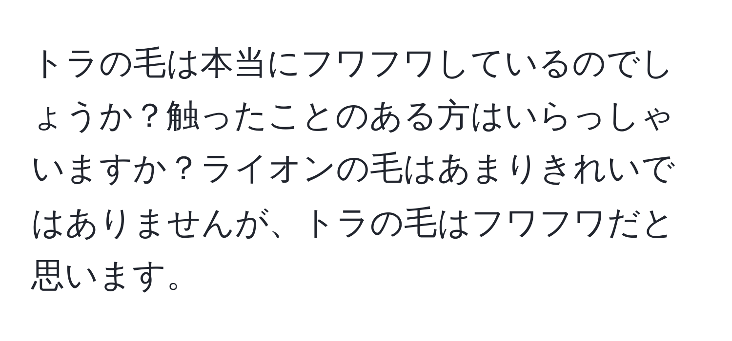 トラの毛は本当にフワフワしているのでしょうか？触ったことのある方はいらっしゃいますか？ライオンの毛はあまりきれいではありませんが、トラの毛はフワフワだと思います。